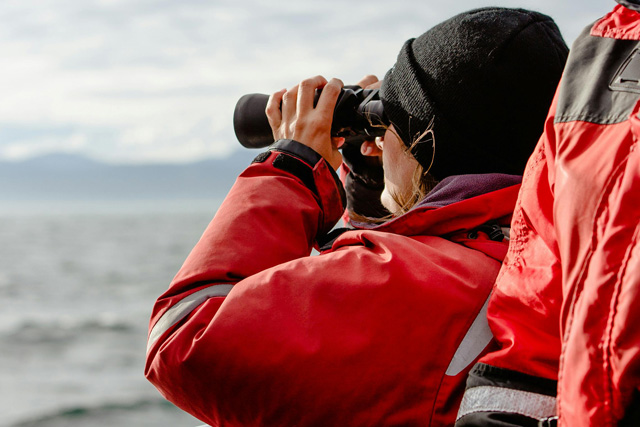 Whale watching tour guide using binoculars.