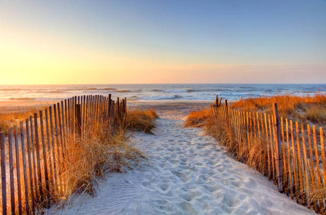 A scenic beach that helps to make Montauk, NY one of the great whale watching destinations.