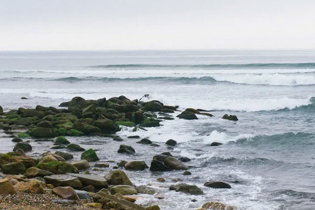 Ditch Plains Beach is on the list of top whale watching spots in Montauk, NY.