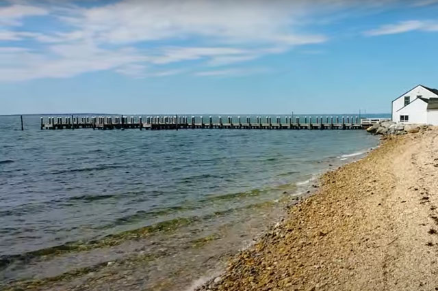 Fort Pond Bay is known to be a good spot for whale watching in Montauk.