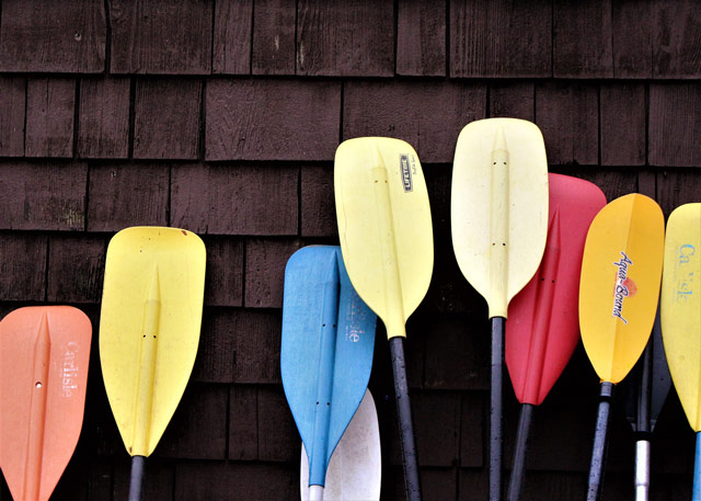 Paddles that come with kayak rentals.