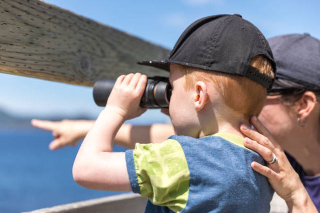 Father whale-watching from a dock with his young son.